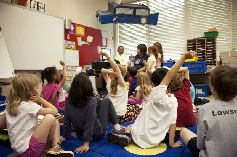 The Silent Teacher: How Classroom Carpets Create Learning Magic