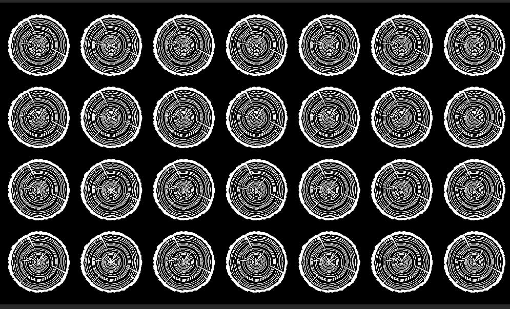 Black & White Tree Stump 28-Seat classroom rug